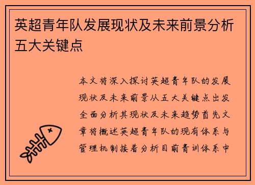 英超青年队发展现状及未来前景分析五大关键点